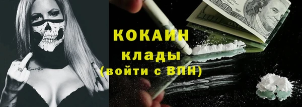 сатива Белоозёрский
