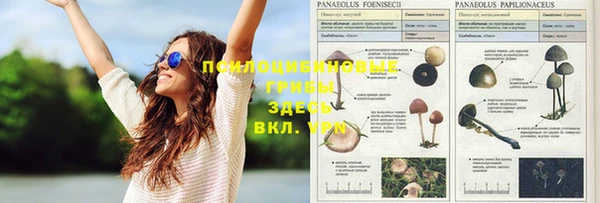 мет Белокуриха