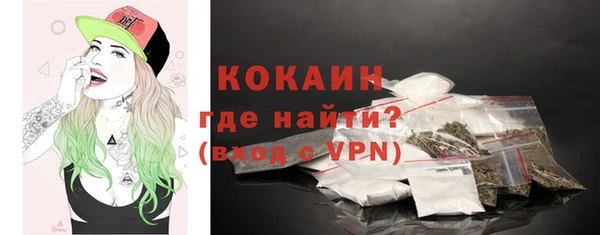 дурь Гусев