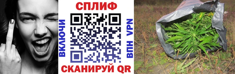 Канабис THC 21% mega ONION Киселёвск цена наркотик